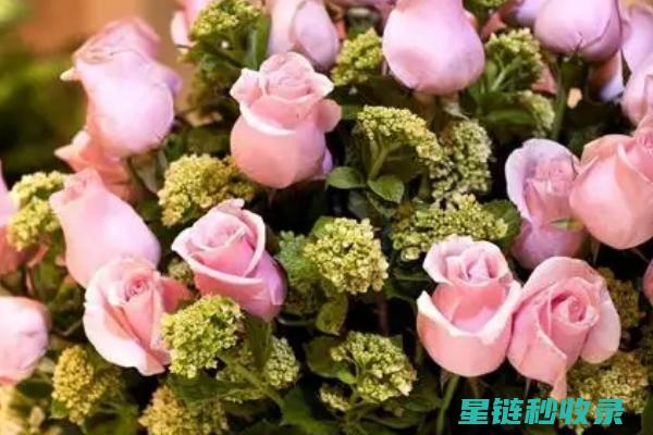 延长鲜花生命的小窍门：让你的花束更持久 (延长鲜花生命的方法)